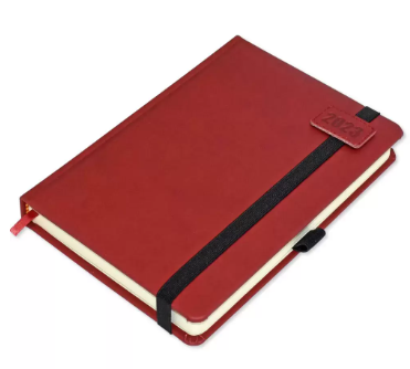 FIS Diary 2023 (English) A5, Maroon - FSDI84E23MR