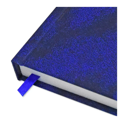 FIS A5 Diary 2024 Blue (French) - FSDI29FR24BL