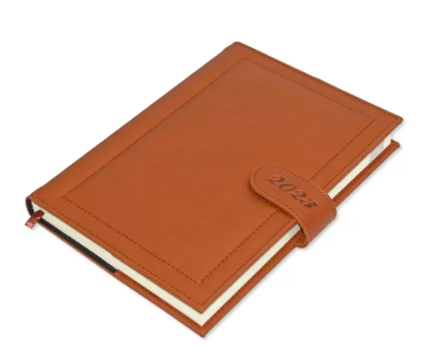 FIS Agenda Diary 2023 (English) Brown - FSDI61023EBR