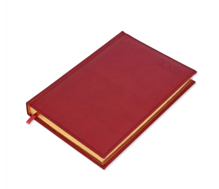 FIS Golden A5 Diary 2023 (English) Maroon - FSDI26EG23MR