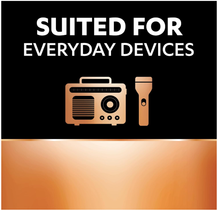 Duracell 1.5 V Alkaline C2 Battery | Pack of 2
