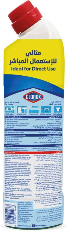 Clorox Bleach Gel and Cleaner, 750ml, Mint Freshness, Kills 99.9 Percent of Germs, Thick Gel