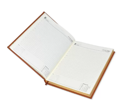 FIS Executive Diary 2023 (English) 1-Side Padded with Gilding, Dark Brown - FSDI88EPG23DBR