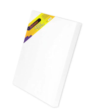 Artmate Stretchaced Canvases Back Stapled (320 GSM), 30X40cm Size - JIGNE11-3040