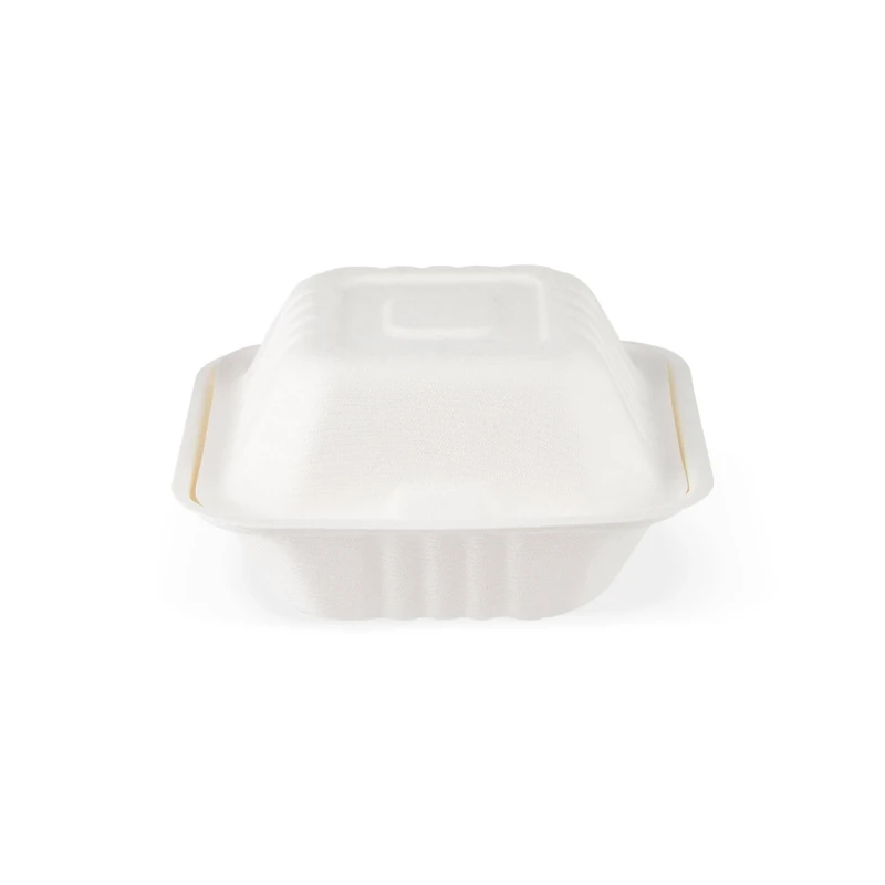 Bio Degradable Burger Box 6 inch 5 Pieces