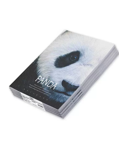 FIS Pack Of 8 Soft Cover Notebook, 96 Sheets A4 Panda Design 4 -FSNBSCA496-PAN4