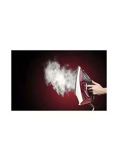 Steam Iron with Non-Stick Soleplate/Anti-Drip/Anti-Calc/Self Clean Function 300.0 ml, 1600.0 W X1550-B5 Red,/Black/White