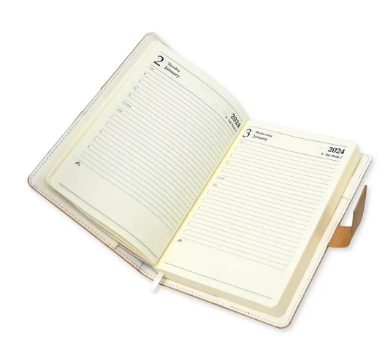 Fis 2024 A5 Diary English Vinyl Hard Sewn Cover Light Brown -FSDI80E24LBR