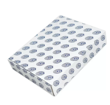 Pack of 80 Pieces Card Divider, Size A4 Blue