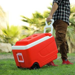 Royalford Insulated Ice Cooler Box - Plastic - Blue - 45 LITER