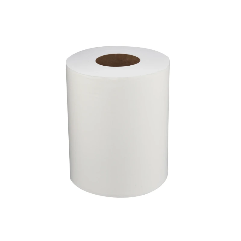 Soft n Cool Maxi Roll 1 Ply 900 Grams 6 Pieces