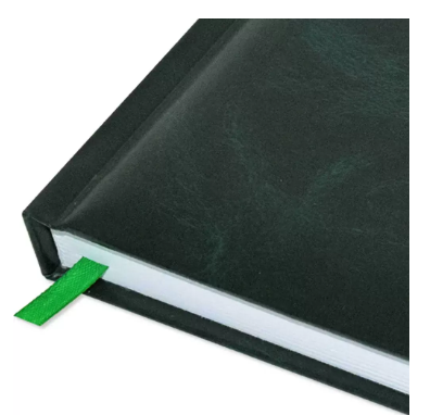 Fis 2024 A5 Diary,Gold Corners,English Vinyl 1Side Padded Green -FSDI22E24GR