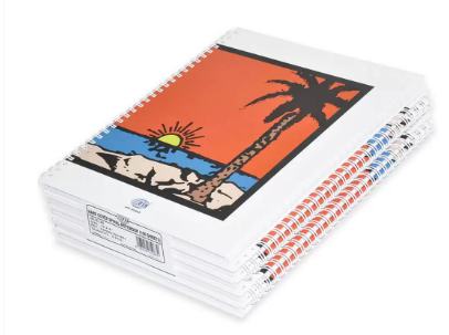 5-Piece FIS Spiral Hard Cover Notebook Single Line 10X8 Inch, 100-Sheets - FSNBS1081901