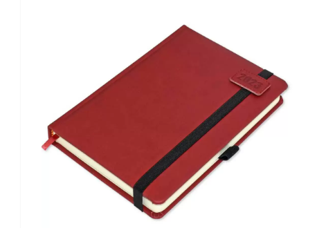 FIS Diary 2023 (English) A5, Maroon - FSDI84E23MR