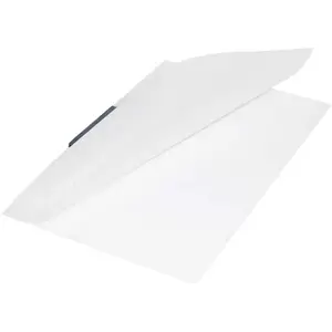 25-Piece Durable Swing Clip File, Transparent Colour - DUPG2288-19