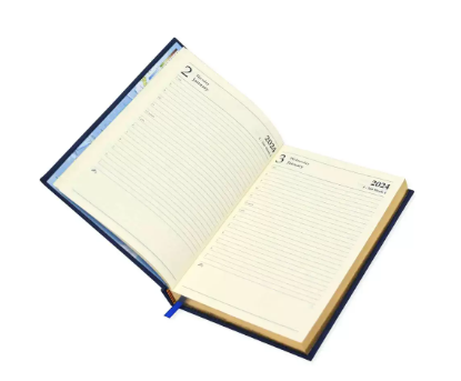 FIS Golden A5 Diary 2024 (English) Black - FSDI26EG24BK