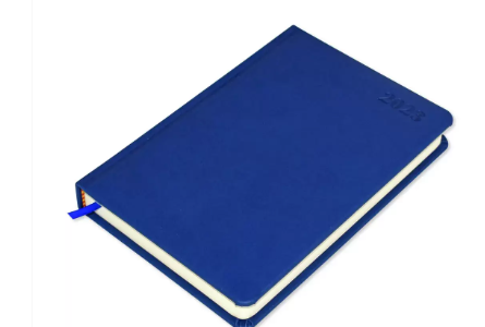 FIS A5 Diary 2023 (English) Blue - FSDI19E23BL