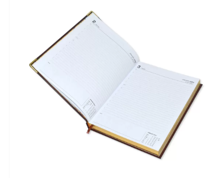 FIS Golden Executive Daily Diary 2023 (English) Maroon - FSDI88EG23MR