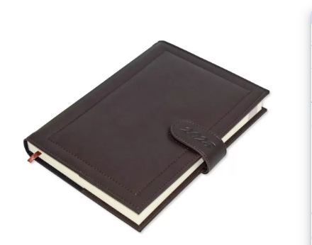 FIS Agenda Diary 2023 (English) Dark Brown - FSDI61023EDBR