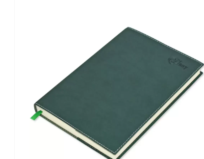 FIS A5 Diary 2023 (English) Green - FSDI17E23GR
