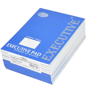 10-Piece FIS Executive Writing Pad A5, 5mm Square 50-Sheets - FSPDEXA55MM