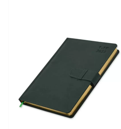 FIS Golden Agenda Diary 2023 (Arabic/English) Italian PU, 1-Side Padded, Gree - FSDI75AEPG23GR