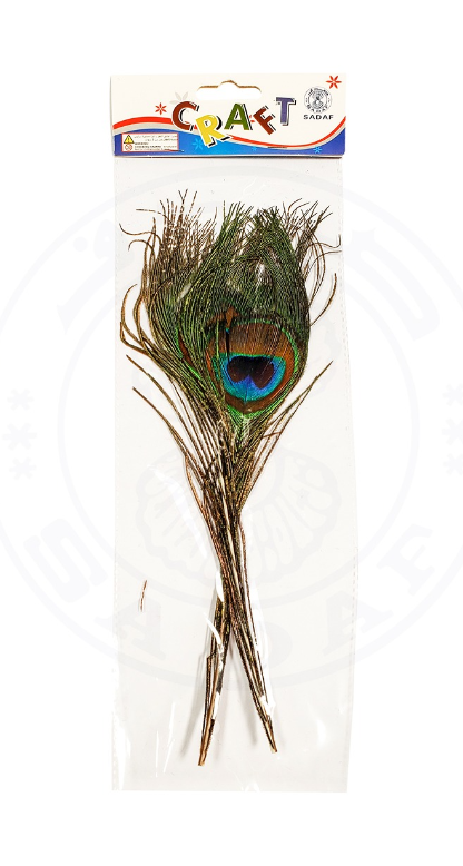 SADAF ART & CRAFT PEAFOWL FEATHER 2PCS/PKT PD-86