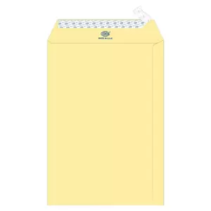 FIS Executive Laid Paper Envelopes Peel & Seal, Pack of 25 Pcs. Cream Color, 10 x 7 inch Size, 100 GSM - FSEE1033PCRB25