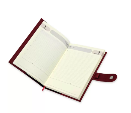 FIS Agenda Diary 2024 (English) Maroon - FSDI61024EMR