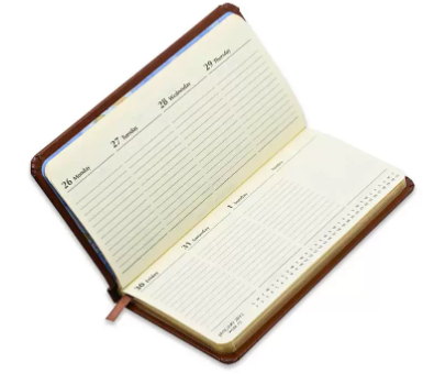 Fis 2023 Slim Diary Bonded Leather English 1Sides Padded Brown -FSDI52EGB23BR