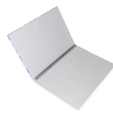 FIS Pack Of 5 Spiral Hard Cover Notebook, 96 Sheets A4 Dolphin Design 2 -FSNBSHCA496-DOL2