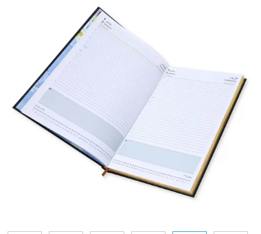 FIS Golden Diary 2024 (Arabic/English) Chocolate, A4 - FSDI43AEG24CH