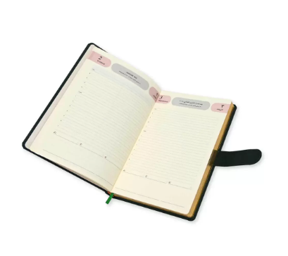 FIS Golden Agenda Diary 2024 (Arabic/English) Italian PU, 1-Side Padded, Gree - FSDI75AEPG24GR