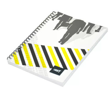 Light LINB1081801S Spiral Soft Cover Single Line Notebook- Pack of 10 Pcs (100 Sheets, 10X8in)