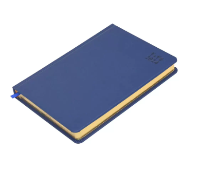FIS Golden A5 Diary 2024 (Arabic/English) Blue - FSDI19AEG24BL