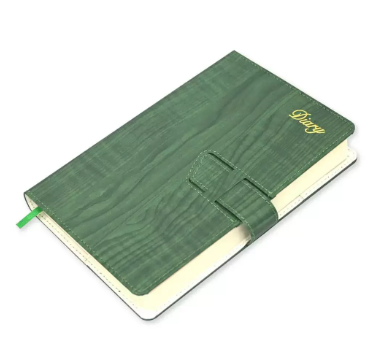 Fis 2024 A5 Diary English Vinyl Hard Sewn Cover Green -FSDI80E24GR