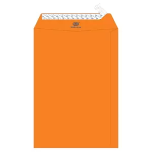 FIS Color Envelopes, Peel & Seal, Neon Orange Colors, Pack of 50 Pcs. 9 x 6 inch, 80 GSM - FSEC8032PBOR50
