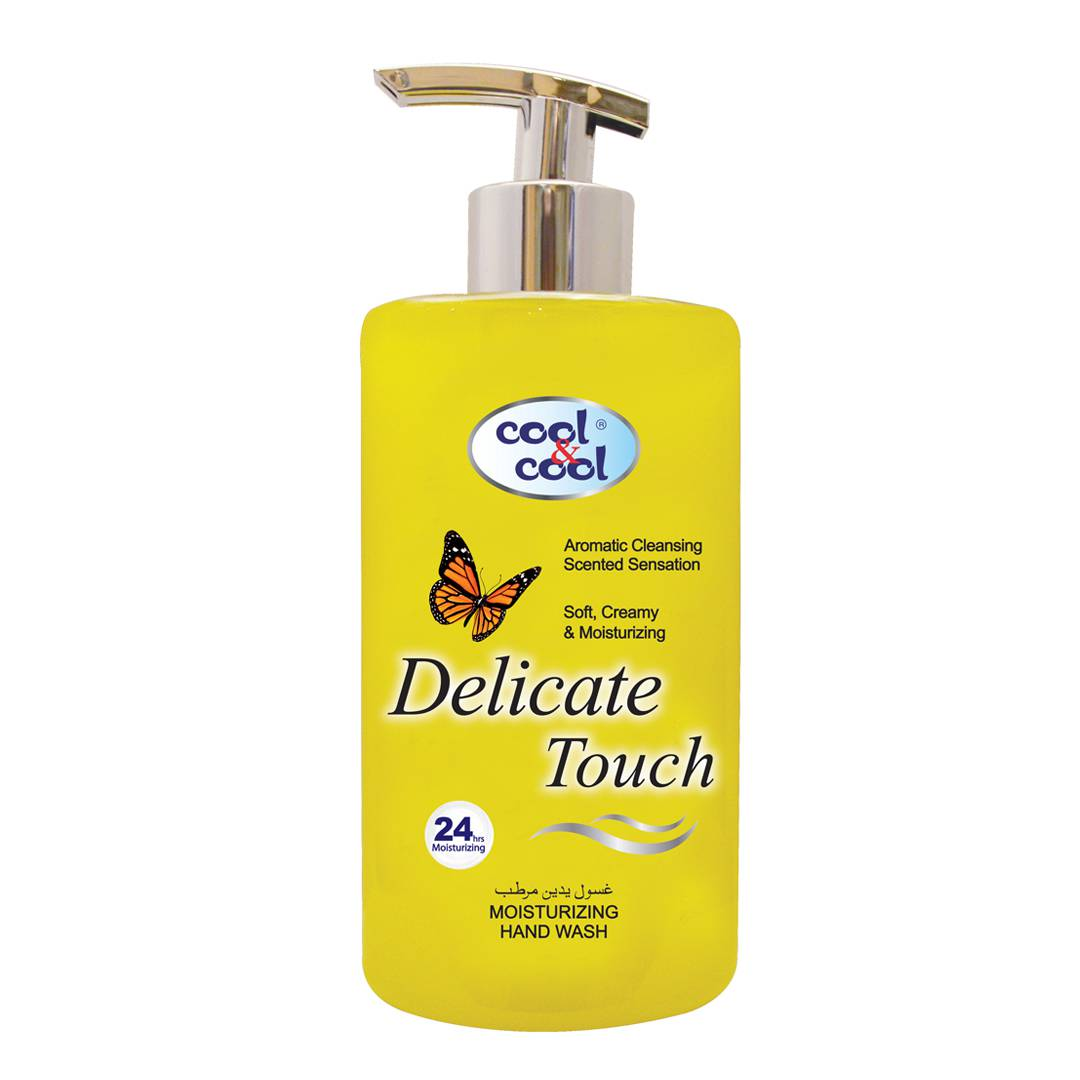 DELICATE TOUCH HAND WASH 500ML