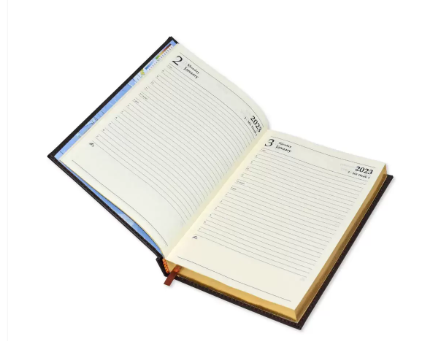 FIS Golden A5 Diary 2023 (English) Green - FSDI26EG23GR