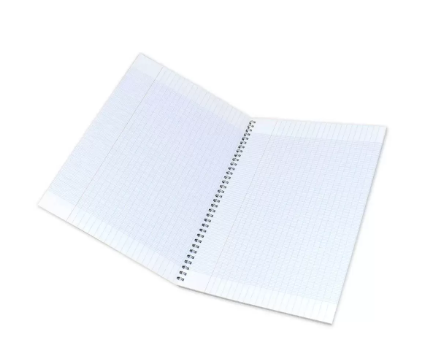 FIS Pack of 10 French Spiral Note Book, Size A4, 80 GSM, 96 Pages - FSNBSFRA4801