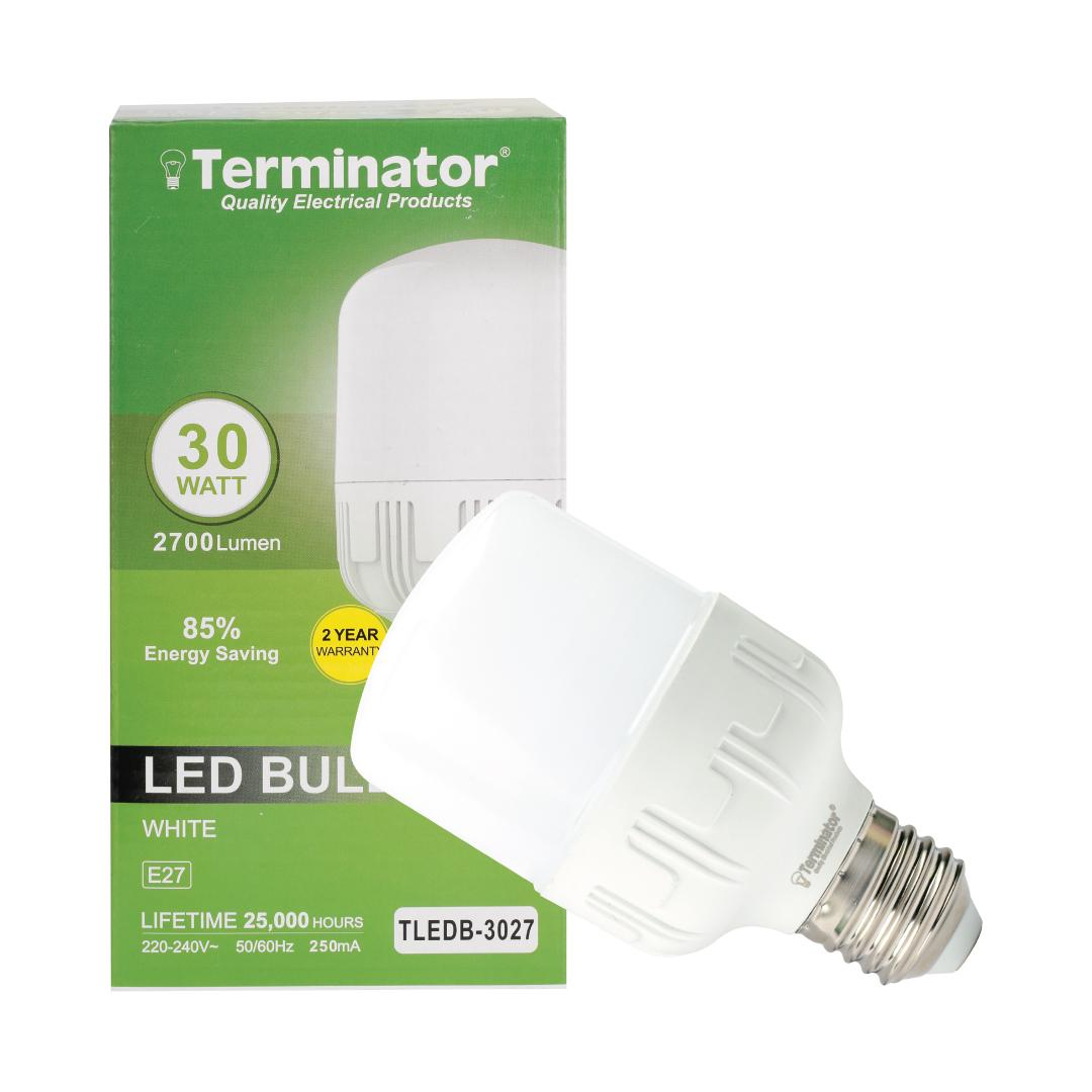 LED Bulb 30W Day Light E27
