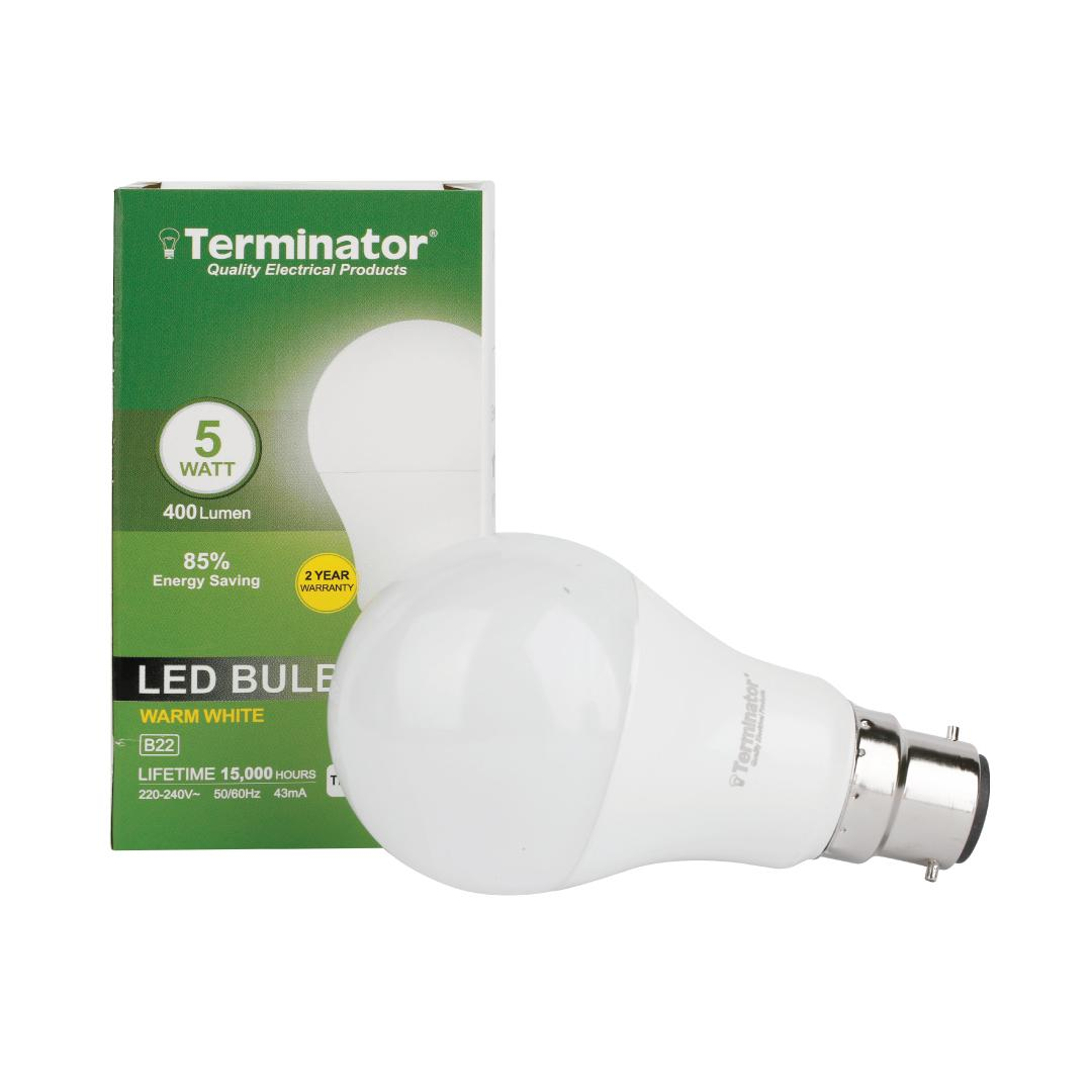 LED Bulb 5W Warm White B22