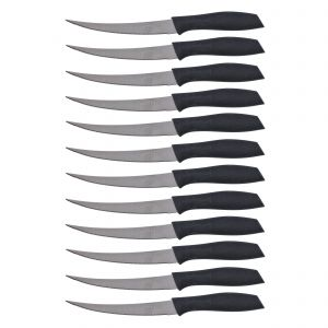 Royalford 12Pcs Fruit Knife Set - Stainless Steel - Black - RF9981