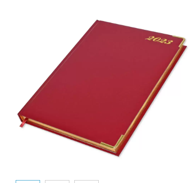 FIS Golden Executive Daily Diary 2023 (English) Maroon - FSDI88EG23MR