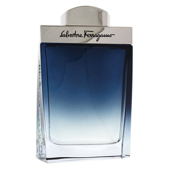 SALVATORE FERRAGAMO SUBTIL POUR HOMME (M) EDT 100ML
