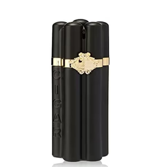 REMY LATOUR CIGAR BLACK OUD (M) EDT 100ML