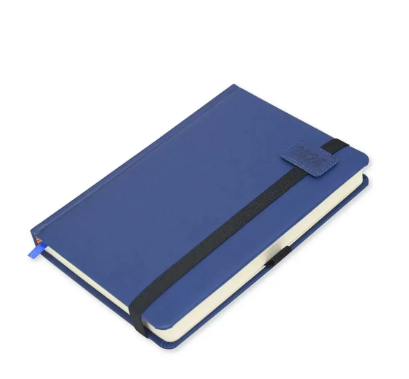 FIS Diary 2024 (English) A5, Blue - FSDI84E24BL