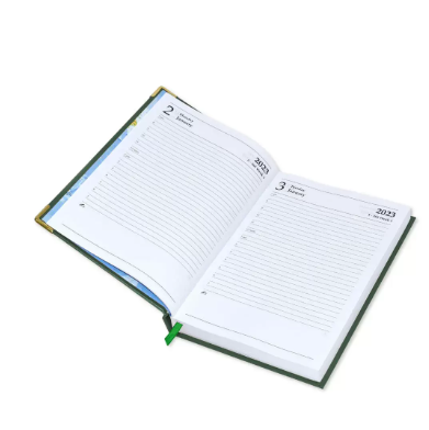 Fis 2023 A5 Diary,Gold Corners,English Vinyl 1Side Padded Green -FSDI22E23GR