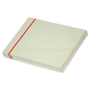 FISSticky Note Pad, 3X4 inches, Pack of 12, Pastel Green 100 Sheets -FSPO34LGR