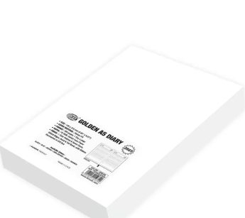 FIS Golden A5 Diary 2023 (English) Maroon - FSDI26EG23MR